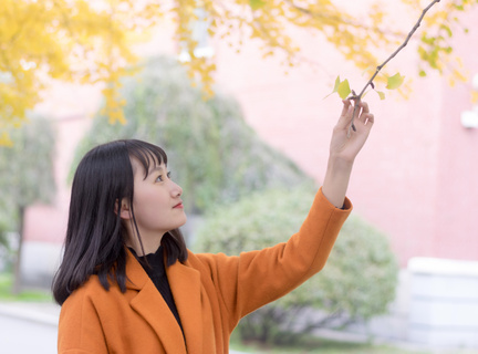 菲律宾驾照查真伪(最新驾照真伪方法)